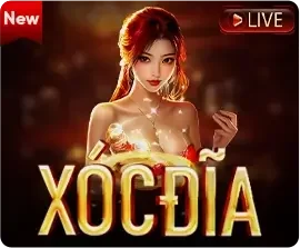 xóc đĩa