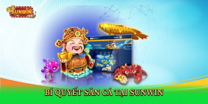 bi-quyet-san-ca-tai-sunwin-4