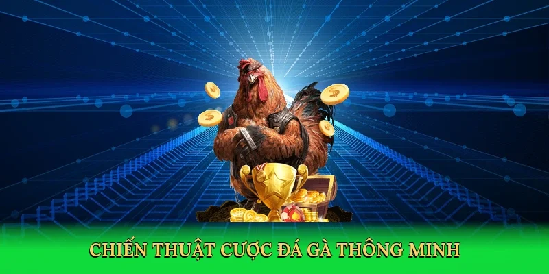 Chiến thuật cược đá gà thông minh