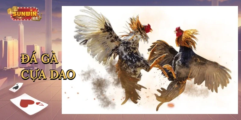da-ga-cua-dao-1