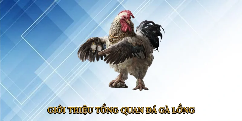 gioi-thieu-tong-quan-da-ga-long-1