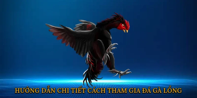 huong-dan-chi-tiet-cach-tham-gia-da-ga-long-3