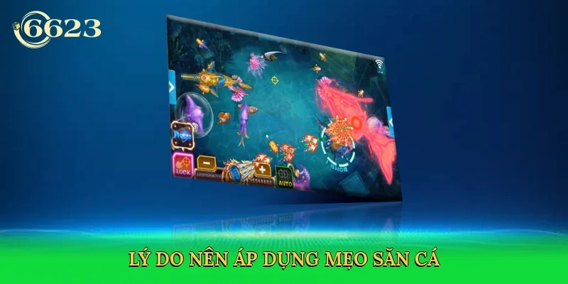 ly-do-nen-ap-dung-meo-san-ca-3