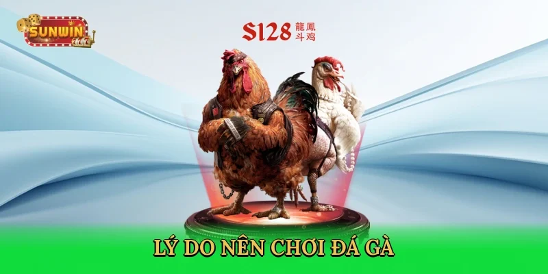 ly-do-nen-choi-da-ga-3