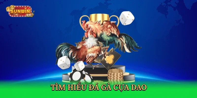 tim-hieu-da-ga-cua-dao-2
