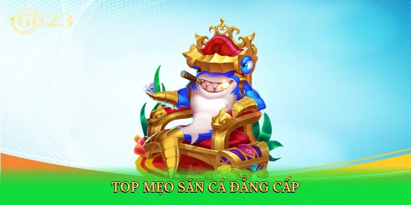 top-meo-san-ca-dang-cap-4