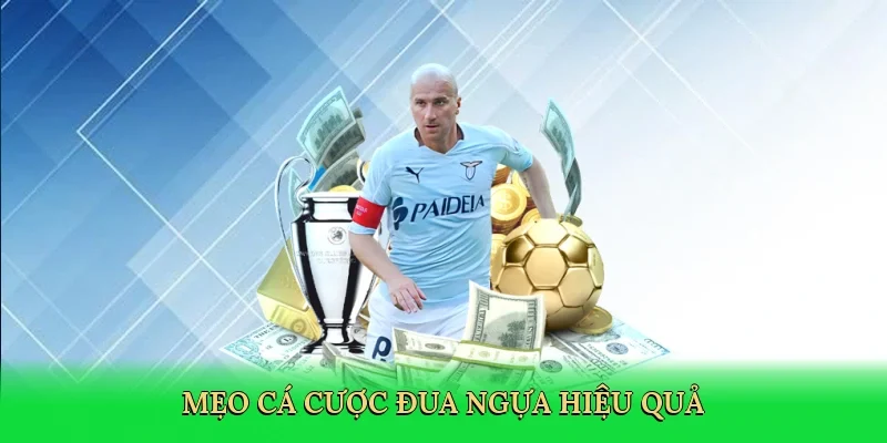 Mẹo cá cược đua ngựa hiệu quả