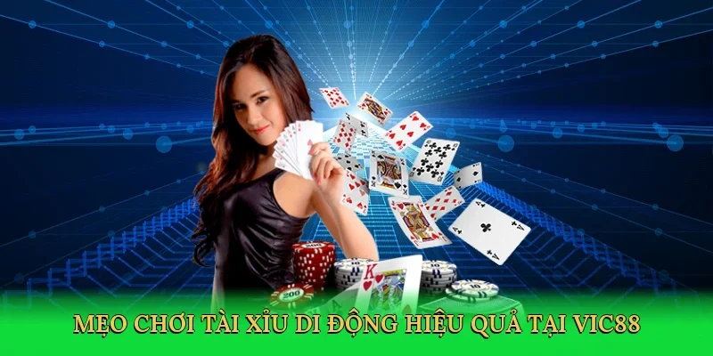 Mẹo chơi tài xỉu di động hiệu quả tại Vic88